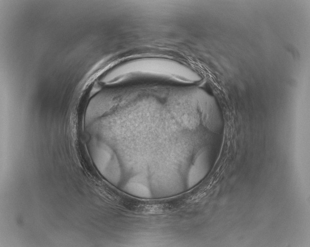 X0000115770295200912041437