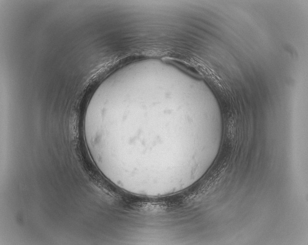 X0000115770303200912041437