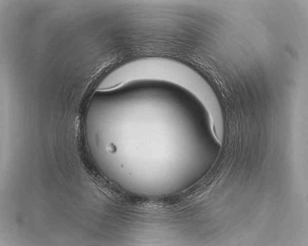 X0000115770308200912041437