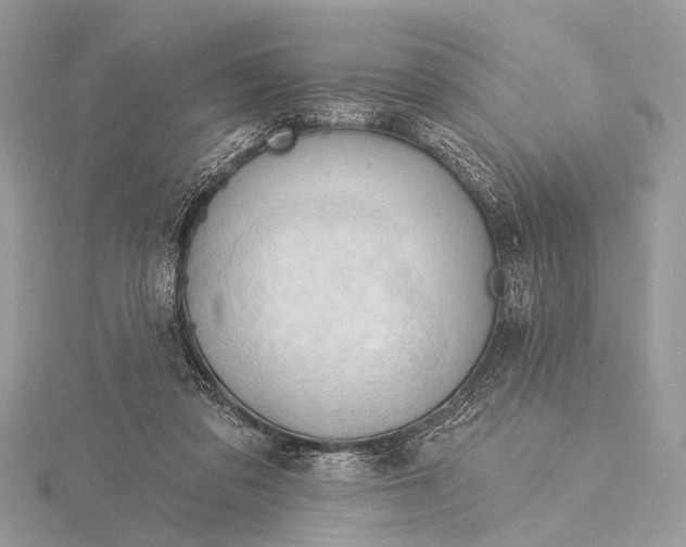 X0000115770309200912041437