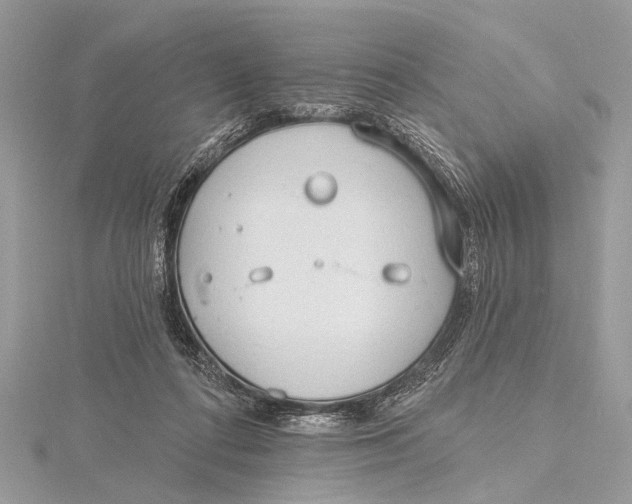 X0000115770312200912041437