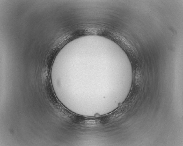 X0000115770314200912041437