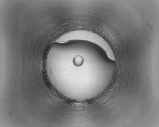 X0000115770323200912041436