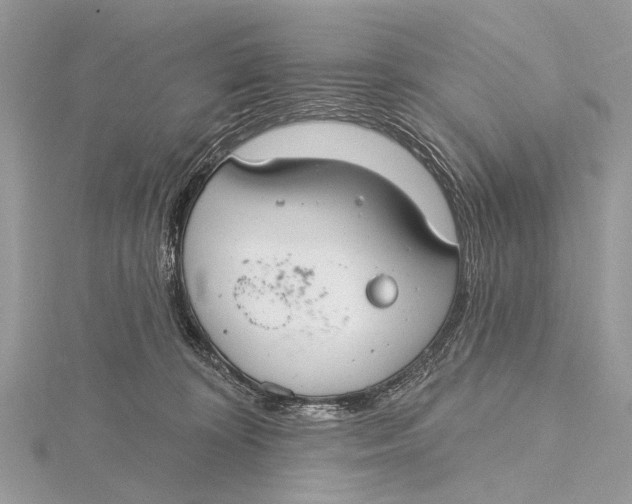 X0000115770324200912041436