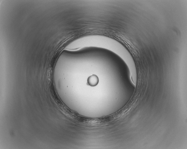 X0000115770325200912041436