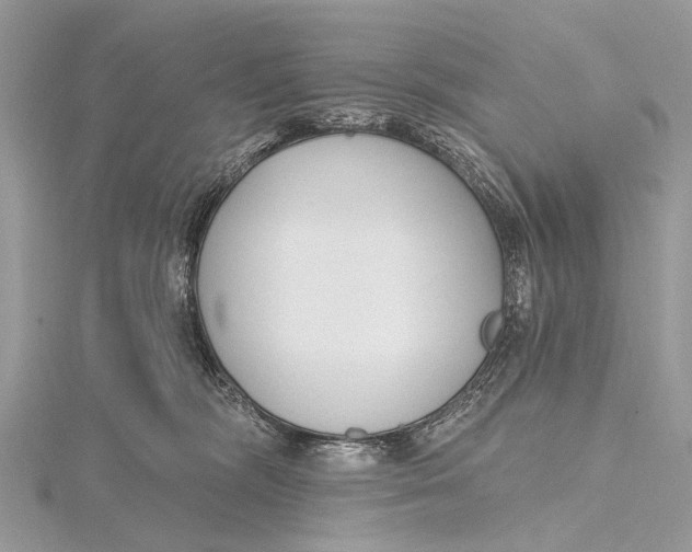 X0000115770326200912041436