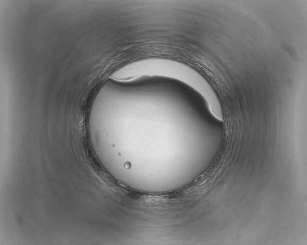 X0000115770327200912041436