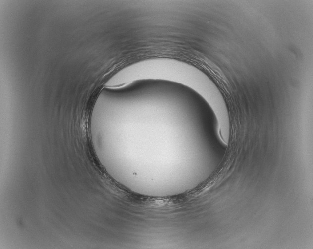 X0000115770329200912041436