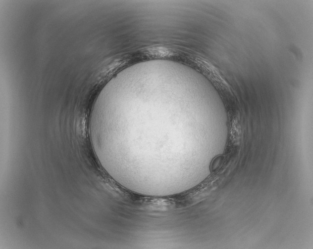 X0000115770330200912041436