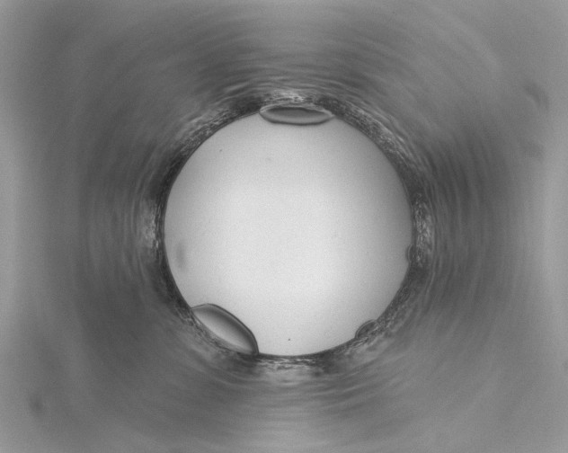 X0000115770331200912041436