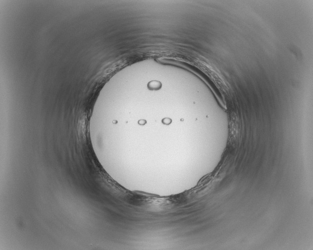 X0000115770333200912041436