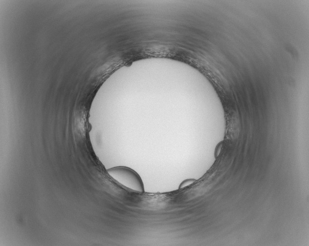 X0000115770334200912041436