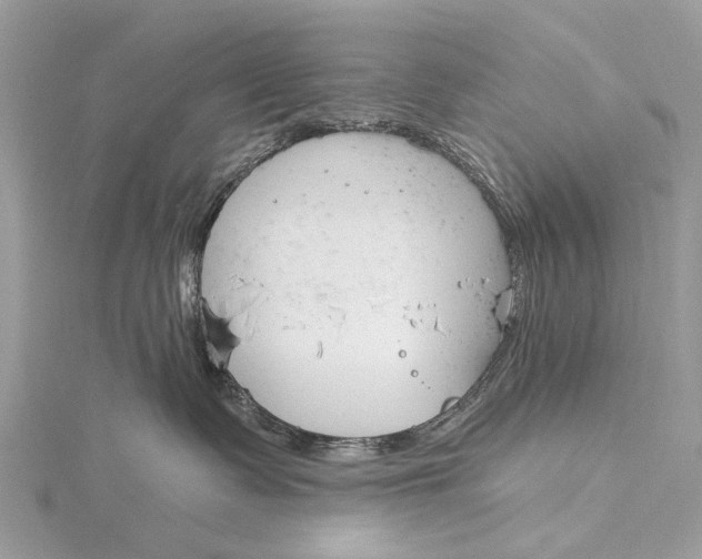 X0000115770335200912041436