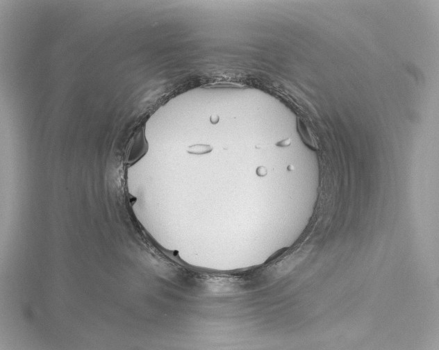 X0000115770336200912041436