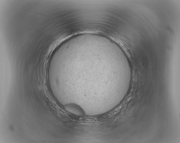 X0000115770337200912041436