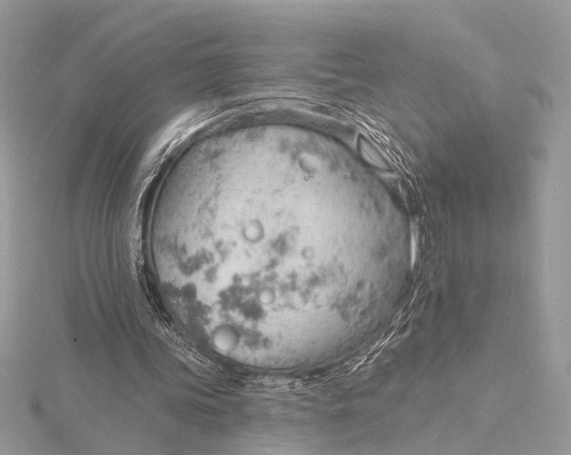 X0000115770339200912041436