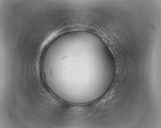 X0000115770341200912041436