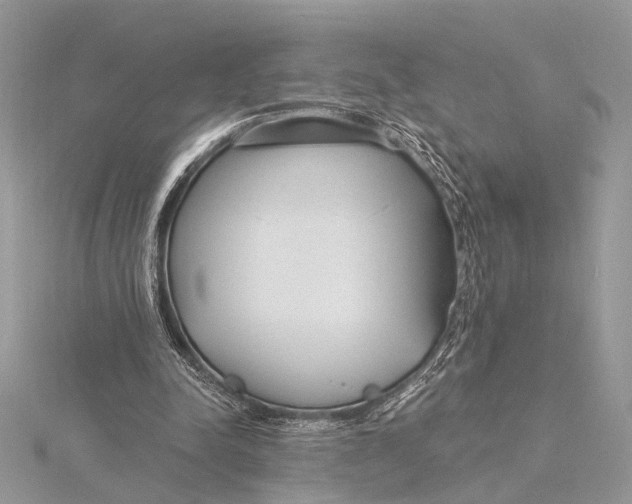 X0000115770342200912041436