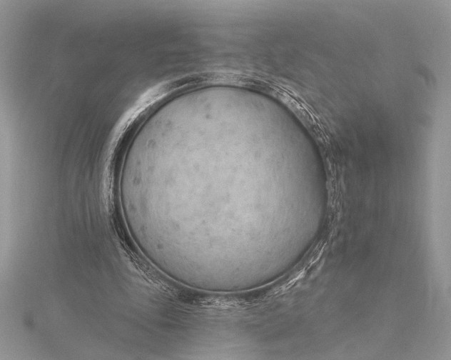 X0000115770343200912041436