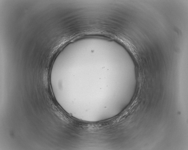 X0000115770345200912041436