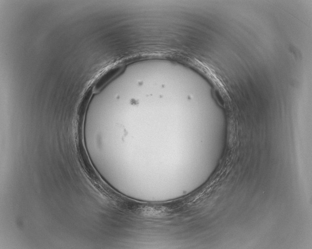 X0000115770346200912041436