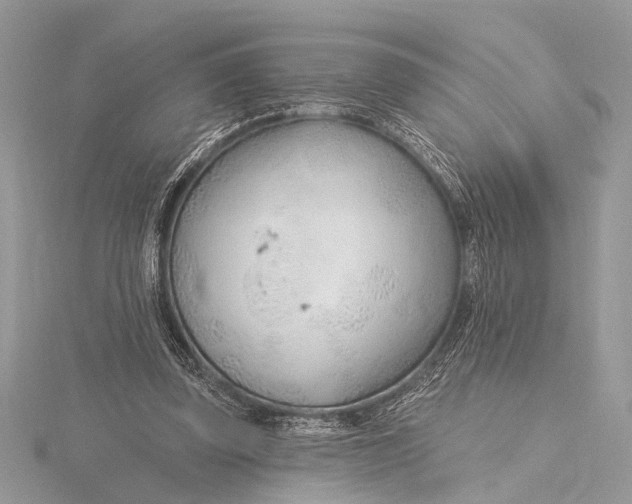 X0000115770347200912041436