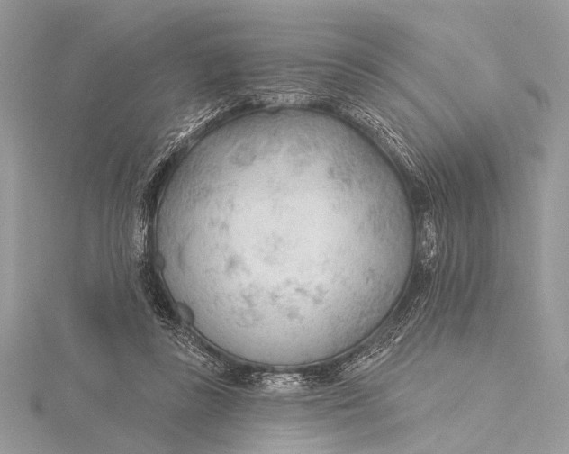 X0000115770355200912041436