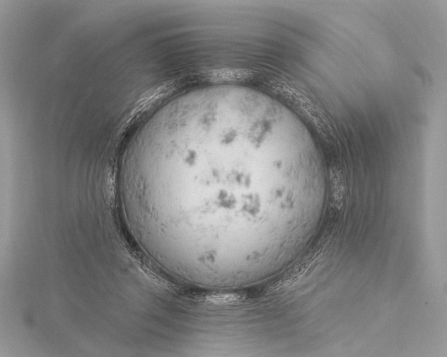 X0000115770357200912041436