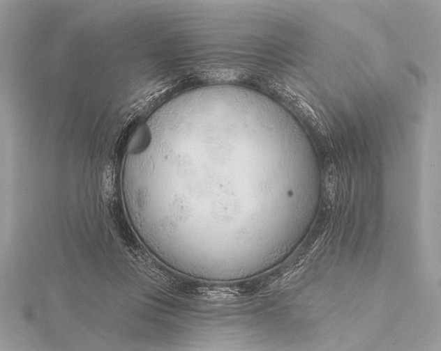 X0000115770359200912041436