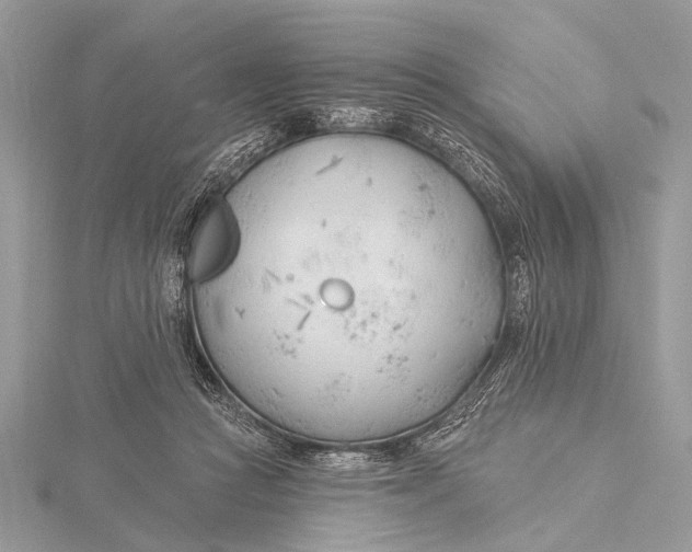 X0000115770361200912041436