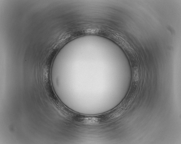 X0000115770363200912041436