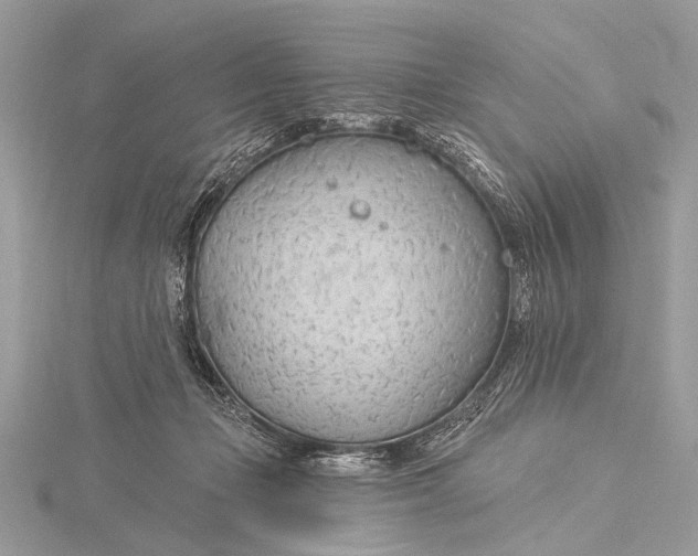 X0000115770365200912041436