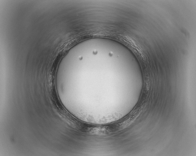 X0000115770366200912041436