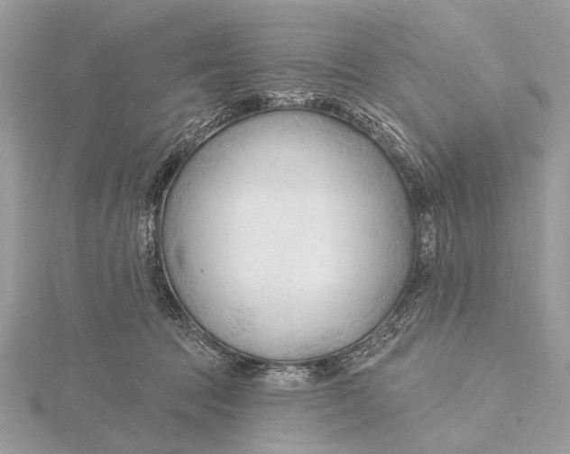 X0000115770369200912041436