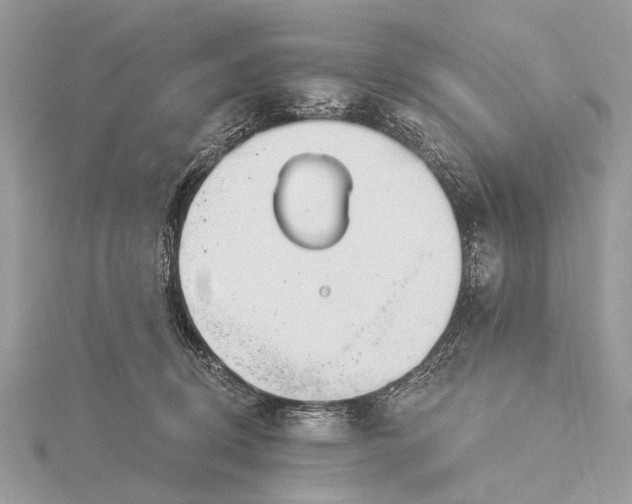 X0000115770370200912041436