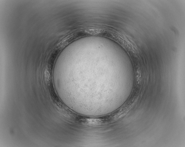 X0000115770371200912041436