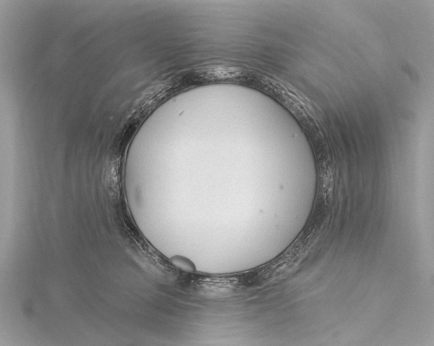 X0000115770373200912041436