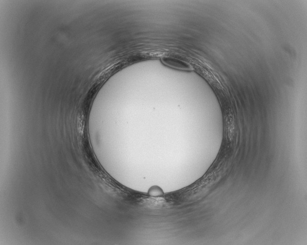 X0000115770374200912041436