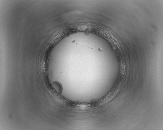 X0000115770375200912041436