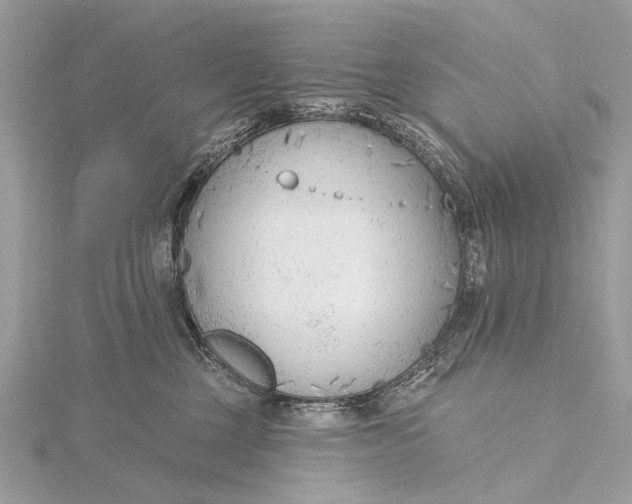 X0000115770377200912041436