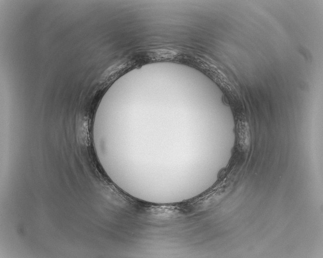 X0000115770378200912041436