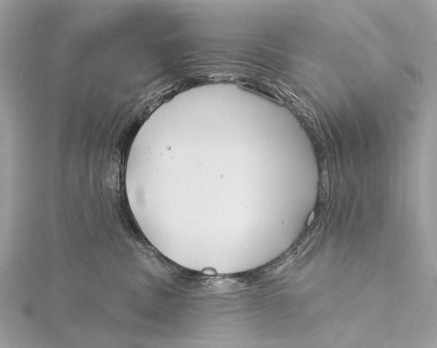 X0000115770379200912041436