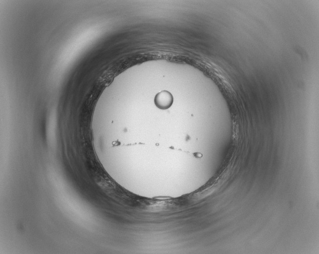 X0000115770382200912041436