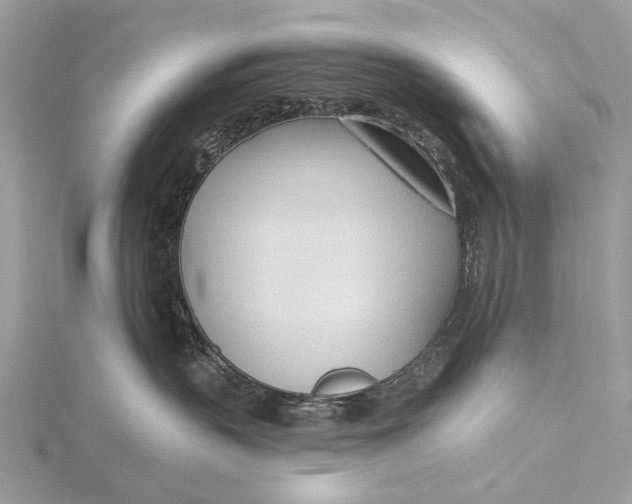 X0000115770383200912041436