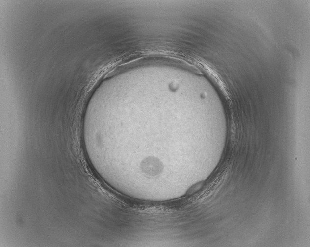 X0000115770385200912041436