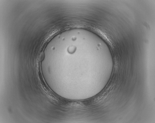 X0000115770386200912041436