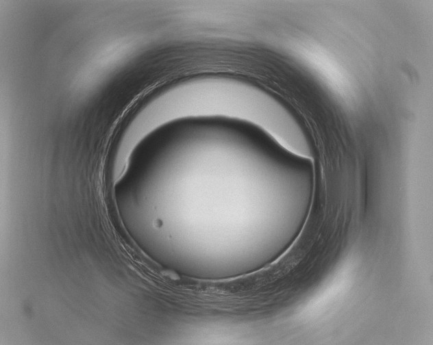 X0000115770387200912041436