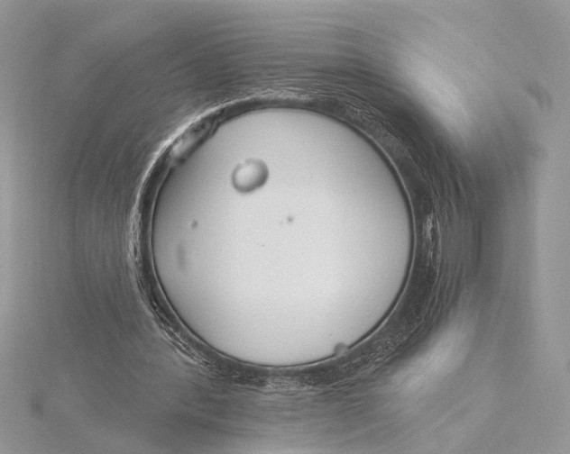 X0000115770388200912041436