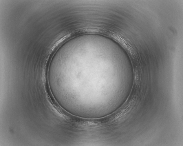 X0000115770390200912041436