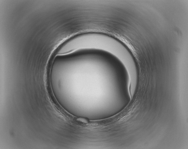 X0000115770391200912041436